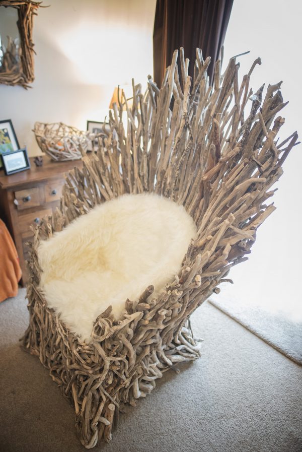 Driftwood Throne portrait
